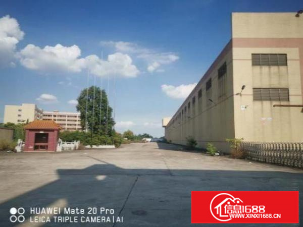 九江南鲲码头旁独院单一层75000方大小分租滴水9米带牛腿