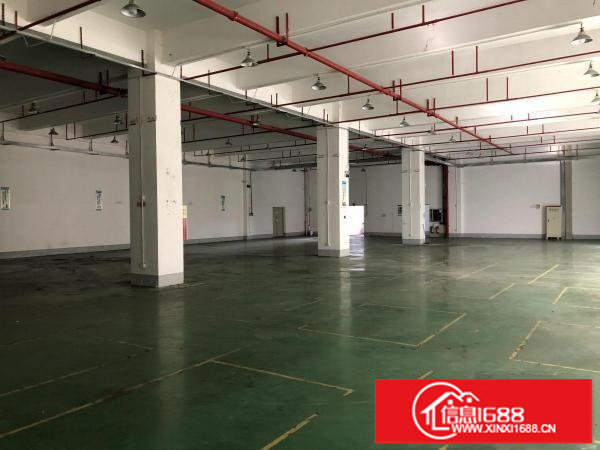 布吉长龙下水径文博宫厂房1300平米可做服装加工等