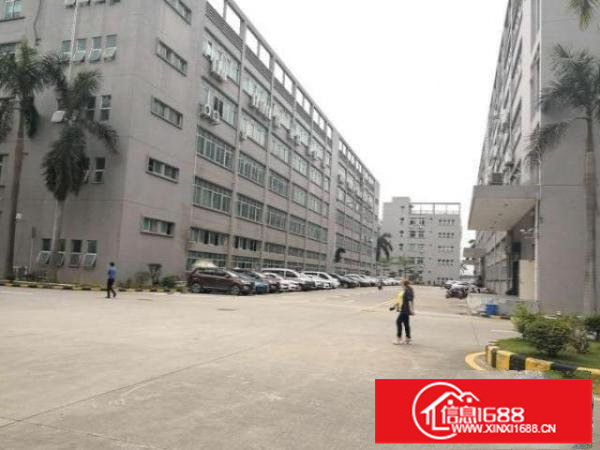 光明红本15000平