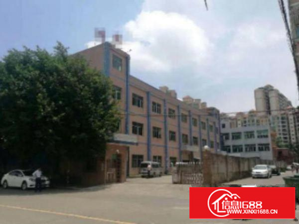 万江简沙洲新出标准厂房一楼800平方出租