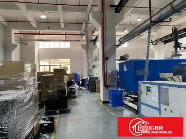 一楼4000平米，独立办公室！带牛角！可办环评