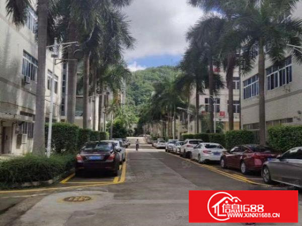 安良独门独院厂房9000平方现成服装厂装修整租优先