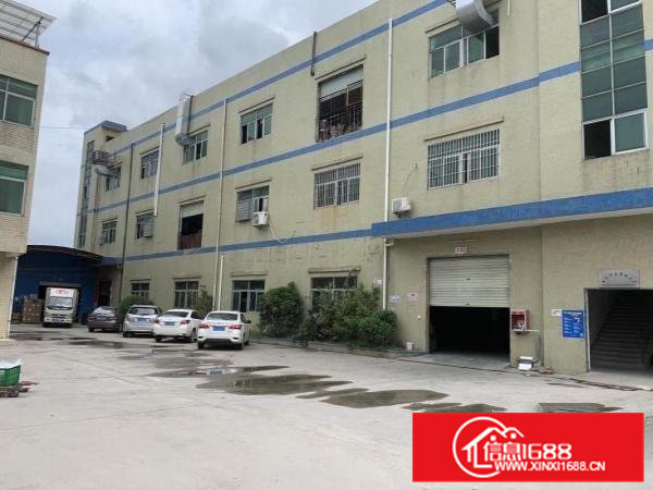 大朗大井头新出原房东标准独院3520平方带现成精装修办公室