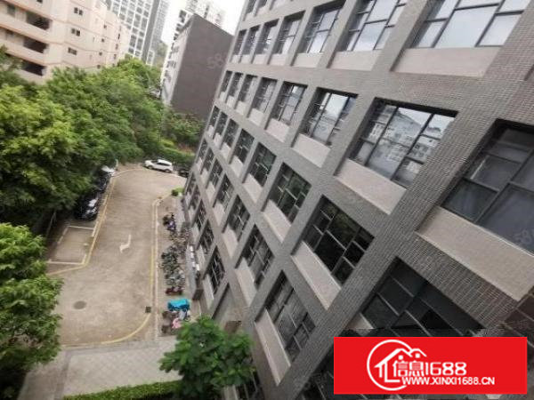 坂田原房东厂房出租花园式2楼带精装修1300出租水电齐全