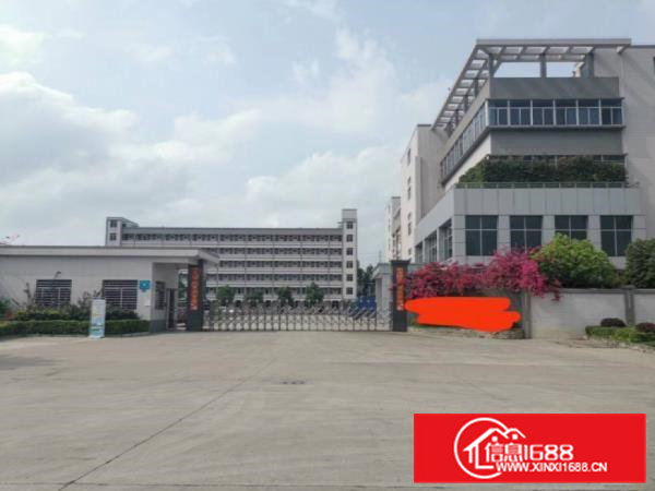 大朗宝陂标准厂房一楼850平出租，形象好空地大