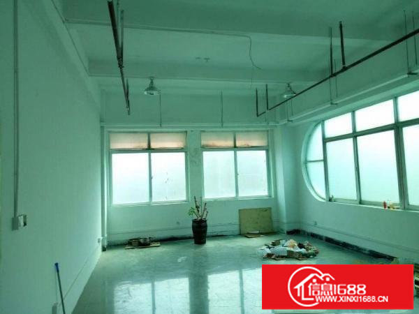 楼村新出楼上500平带装修厂房