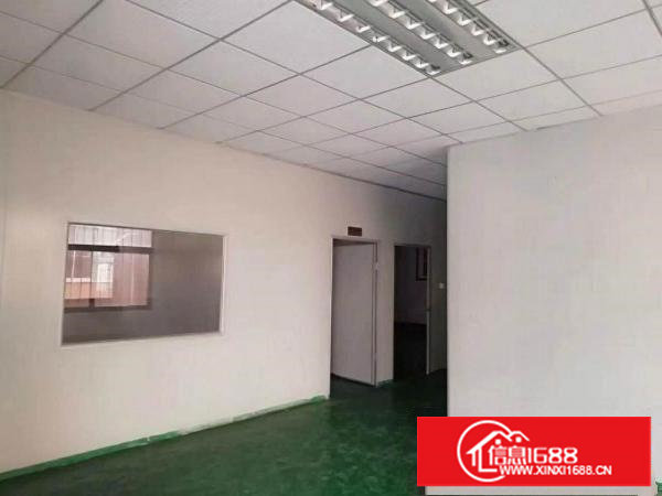 ~塘厦桥陇465平米一楼标准厂房，全办公室吊顶，挨凤凰岗~