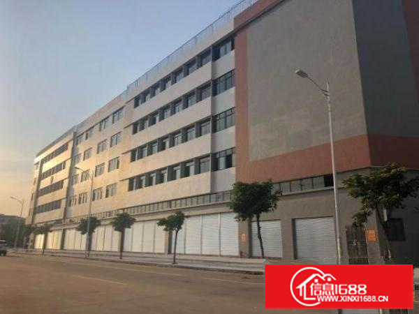 顺德全新标准厂房出租，业主直租