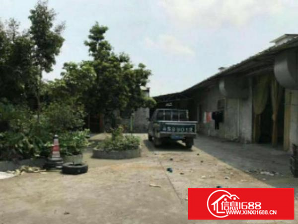 万江万江中心单一层厂房1400平方，滴水7米带隔热层工业地