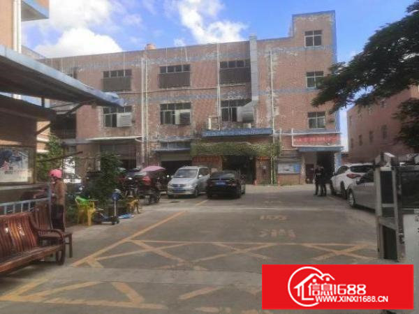 松岗新出厂房1/2楼600