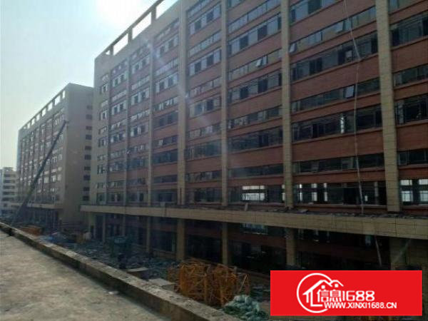 桥头镇新出独院厂房一楼8米高