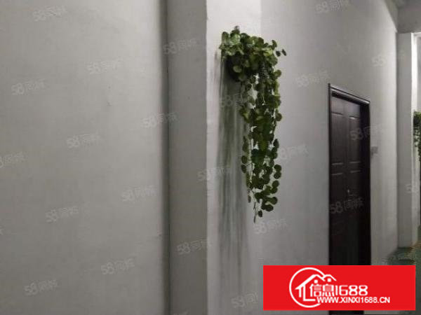 龙华观澜桂花路新出1800原房东楼楼上一整层带装修出租