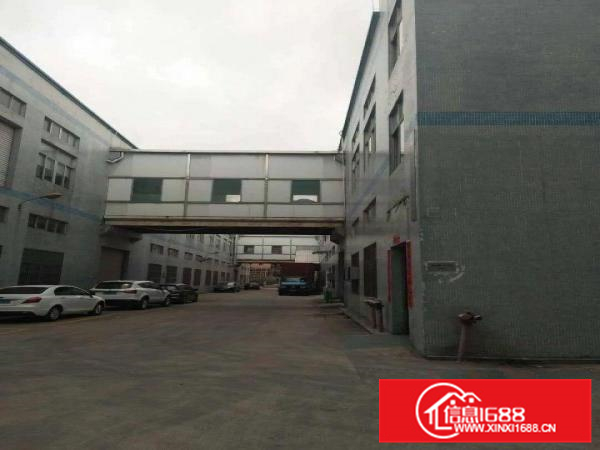 秋长新塘新出一楼2500平精装修厂房出租