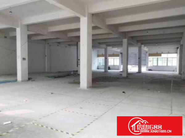 丹灶仙湖标准厂房一楼800平方出租