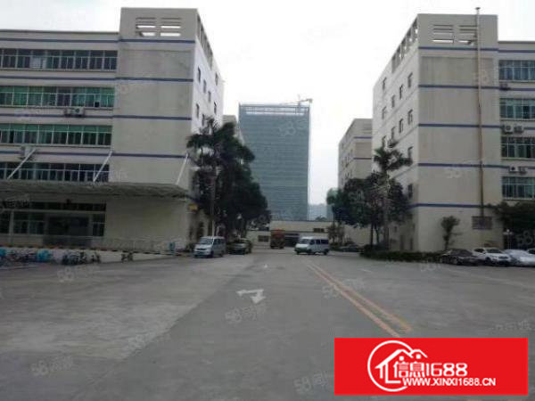 坪山坑梓新出一楼标准厂房1000平层高4.6米有消防适合加工