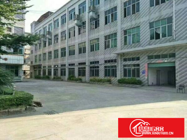 横沥水边靠东部快速路口原房东分租1至4楼4800平