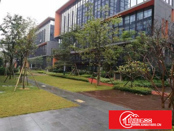 龙岗宝龙高端企业总部研发办公楼全球招租