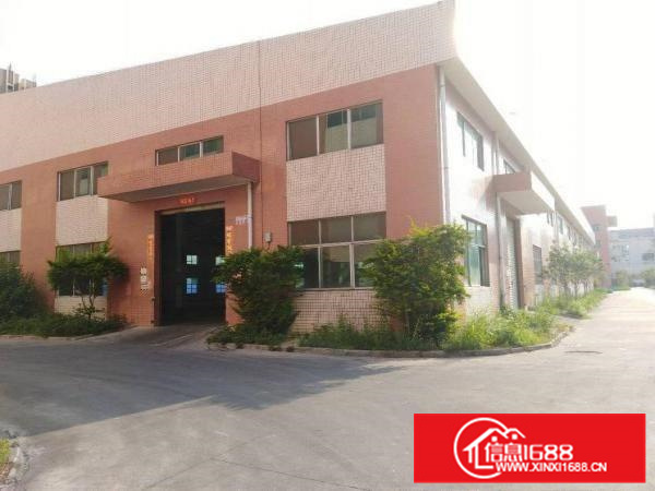 大亚湾2800平一楼滴水8米行业不限用电按需