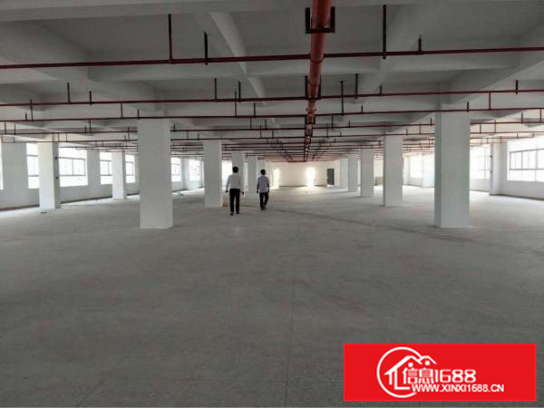 惠州秋长新出可做污染行业独门独院11500平方