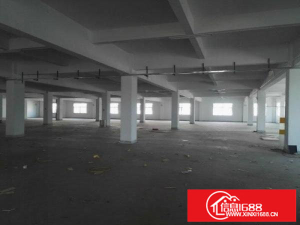 坪山原房东小独院带红本900平有装修