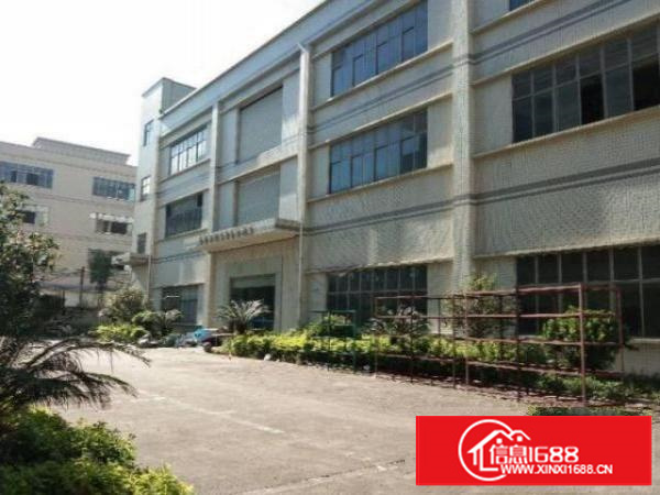 超朗楼上标准厂房600平招租，有地坪漆消防喷淋，入驻及生产