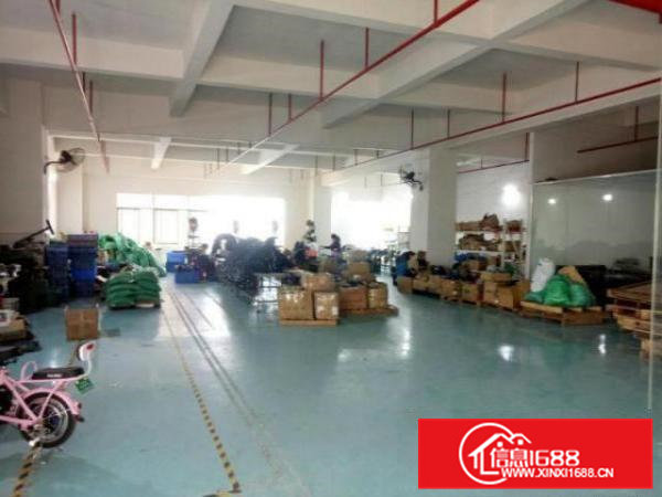 本人厂房10元招租大朗水口工业区一楼400平方