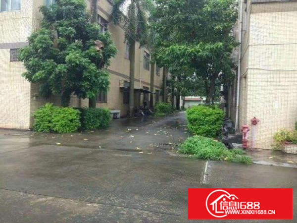 惠州博罗义和博罗大道花园式标准独院厂房6000平方，证