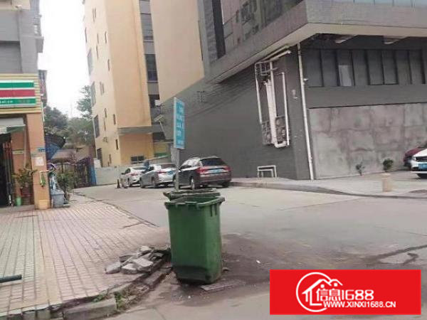 横沥镇新出独院原房东一楼高6米，精装修，可办环评