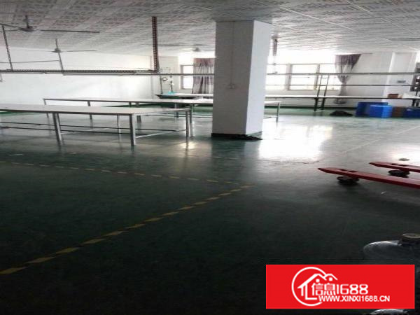 平湖新木楼顶铁皮顶厂房800出租，只8元，适合皮草，油边行业