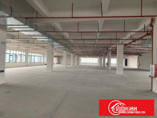 长安现有全新红本厂房整层6000平方水电齐全可办环评消防喷淋