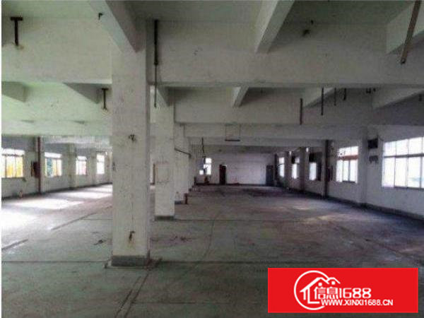 东坑初坑二楼标准厂房1600平，环境好