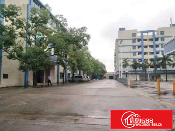 横沥镇东环路边新出一楼单一层600平方豪华装修小吴