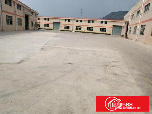 可独栋出租九成新单层厂房3栋共6500平方1250平起