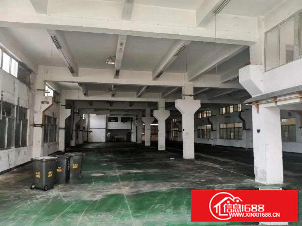 常平新出两层独院厂房6660平方米