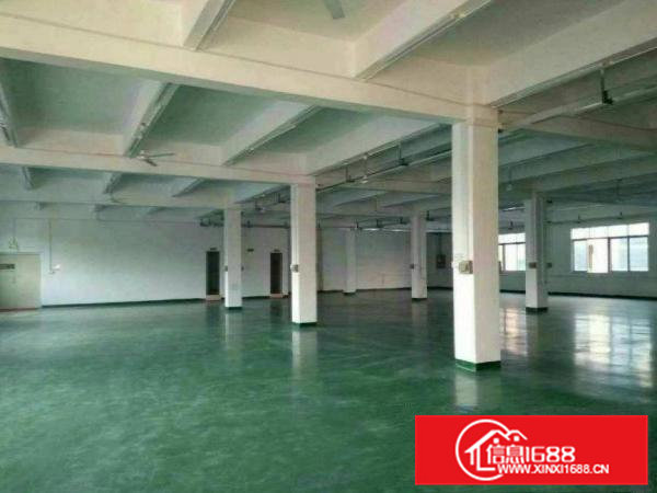 常平卢屋工业区二楼精装修厂房950平米出租空地大