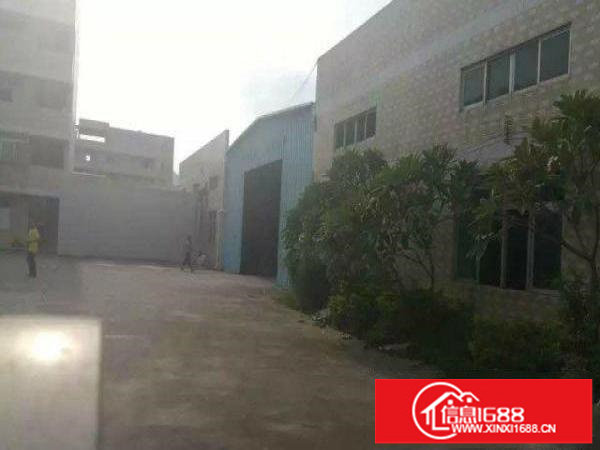 坪山新区碧岭;独院钢厂房5100平米;宿舍加办公室