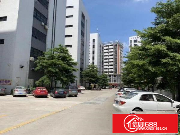 松岗塘下涌工业区楼上整层2000平方厂房出租豪华装修