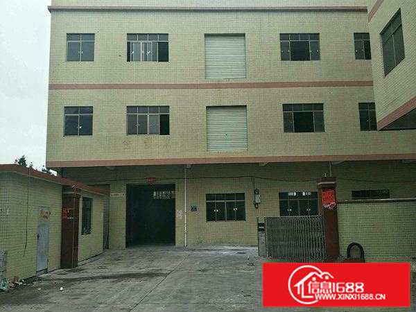 园洲客运站路边上小厂房850平方,8元急租好招工