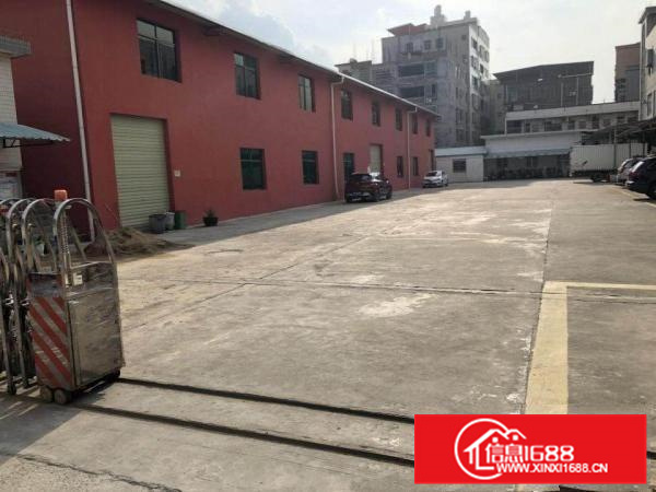 惠州江北全新钢结构1300平方高6米