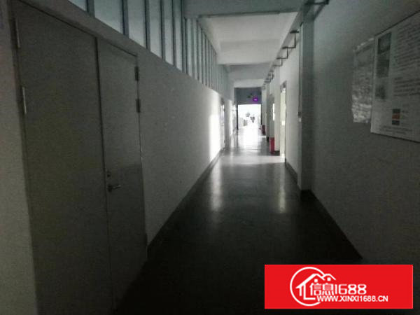 塘厦138工业区现成楼上1300平方，豪华装修，3吨电梯