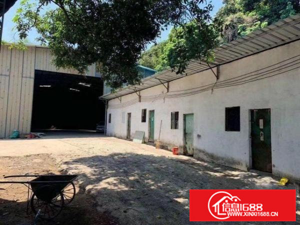 原房东单一层独院钢构1000出租