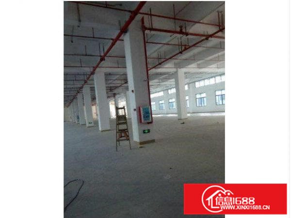带消防喷淋横沥长巷村一楼1000平标准厂房出租