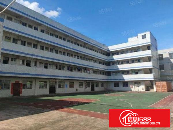 塘厦振兴围新出独院厂房！设施配套齐全，仅租16元全包！