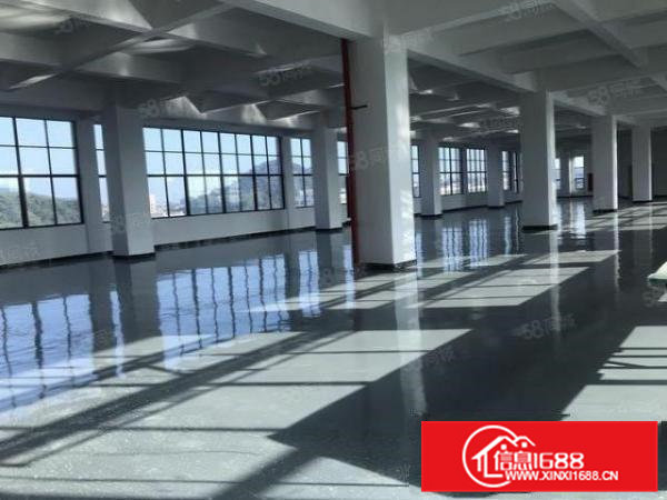 常平原房东全新厂房出租8000平方，可以分租1000平起分！