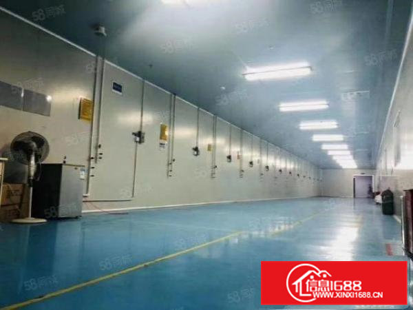 大朗新出环坪厂房现成装修形象漂亮原房东水电齐全交通方便