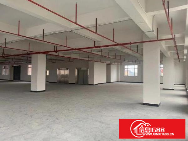 东莞企石厂房出租全新豪华装修3000平两层无中介费