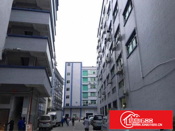 坂田杨美地铁站附近2000平米厂房出租