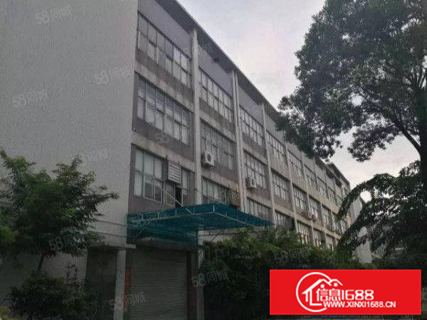 东坑镇角社标准厂房分租一楼1600平方米，带喷淋消防