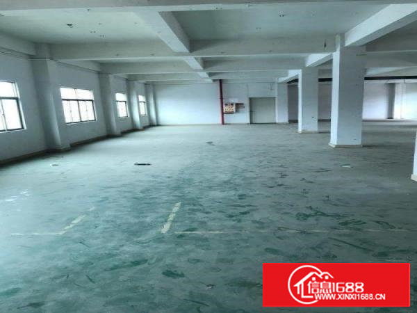 塘厦清塘街带电梯无尘车间仓库办公室