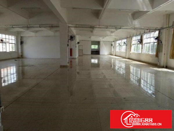 平湖标准一楼厂房1200平米出租可分租